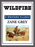 Wildfire (eBook, ePUB)