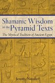 Shamanic Wisdom in the Pyramid Texts (eBook, ePUB)