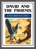 David and the Phoenix - Illustrated (eBook, ePUB)