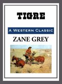 Tigre (eBook, ePUB)
