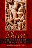 Shiva (eBook, ePUB)