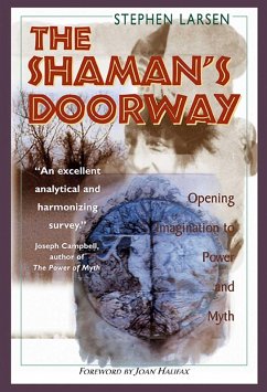 The Shaman's Doorway (eBook, ePUB) - Larsen, Stephen