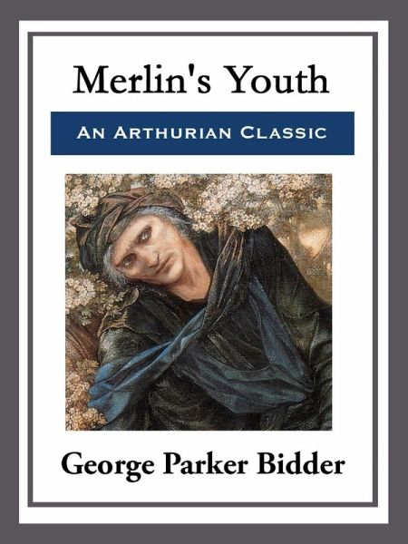 Merlin's Youth (eBook, ePUB) Merlin's Youth (eBook, ePUB)