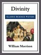 Divinity (eBook, ePUB) - Bild 1