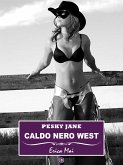 Pesky Jane (eBook, ePUB) Pesky Jane (eBook, ePUB)