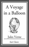 A Voyage in a Balloon (eBook, ePUB)