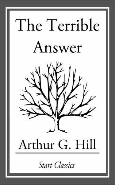 The Terrible Answer (eBook, ePUB)