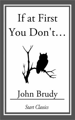 If at First You Don't... (eBook, ePUB) - Brudy, John