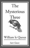 The Mysterious Three (eBook, ePUB)