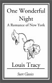 One Wonderful Night (eBook, ePUB)
