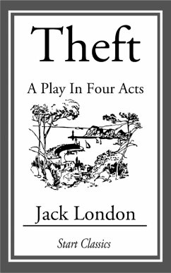 Cover Theft (eBook, ePUB)