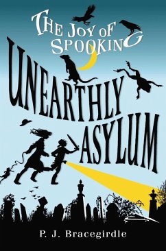 Unearthly Asylum (eBook, ePUB) - Bracegirdle, P. J.