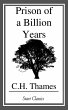 Prison of a Billion Years (eBook, ePUB) - Bild 1