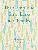 The Camp Fire Girls' Larks and Pranks (eBook, ePUB)