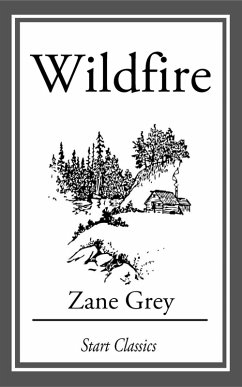 Cover Wildfire (eBook, ePUB)