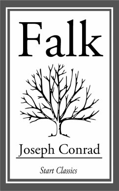 Cover Falk (eBook, ePUB)