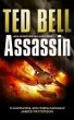 Assassin (eBook, ePUB) - Bild 1