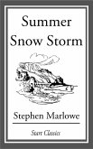 Summer Snow Storm (eBook, ePUB)