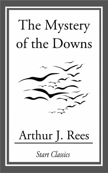 The Mystery of the Downs (eBook, ePUB)