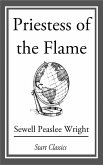 Priestess of the Flame (eBook, ePUB)