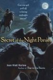 Secret of the Night Ponies (eBook, ePUB)