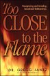 Too Close to the Flame (eBook, ePUB) - Bild 1