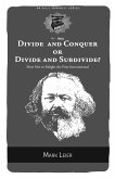Divide and Conquer or Divide and Subdivide? (eBook, ePUB)