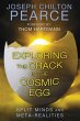 Exploring the Crack in the Cosmic Egg... - Bild 1