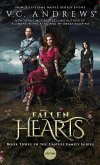 Fallen Hearts (eBook, ePUB)