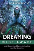Dreaming Wide Awake (eBook, ePUB)