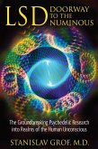 LSD: Doorway to the Numinous (eBook, ePUB)