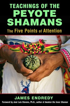 Cover Teachings of the Peyote Shamans (eBook, ePUB)