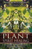 Plant Spirit Healing (eBook, ePUB)