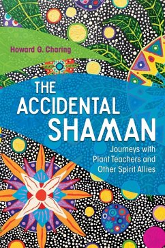Cover The Accidental Shaman (eBook, ePUB)