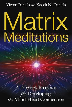 Cover Matrix Meditations (eBook, ePUB)