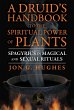 A Druid's Handbook to the Spiritual... - Bild 1