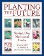 Planting the Future (eBook, ePUB) - Bild 1