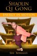 Shaolin Qi Gong (eBook, ePUB) - Bild 1
