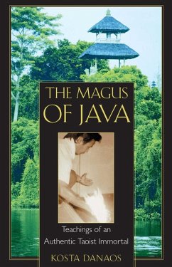 The Magus of Java (eBook, ePUB) - Danaos, Kosta