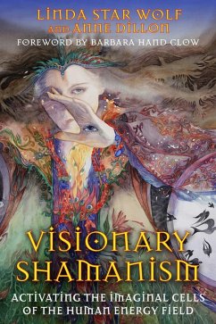 Visionary Shamanism (eBook, ePUB) - Star Wolf, Linda; Dillon, Anne