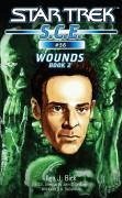 Cover Wounds, Book 2 (eBook, ePUB)