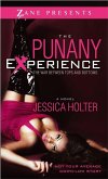 The Punany Experience (eBook, ePUB)