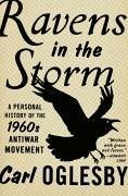 Cover Ravens in the Storm (eBook, ePUB)