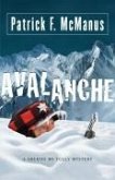 Avalanche (eBook, ePUB)