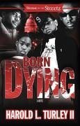 Born Dying (eBook, ePUB) Cover Born Dying (eBook, ePUB)