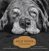 Old Dogs (eBook, ePUB) - Bild 1