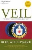 Veil (eBook, ePUB)