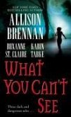 What You Can't See (eBook, ePUB)