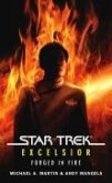 Star Trek: Excelsior: Forged in Fire (eBook, ePUB)