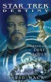 Star Trek: Destiny: Lost Souls (eBook, ePUB)